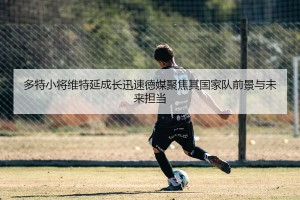 多特小将维特延成长迅速德媒聚焦其国家队前景与未来担当